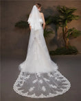 Load image into Gallery viewer, Luxurious 3M Lace-Edged Cathedral Bridal Veil with Comb
